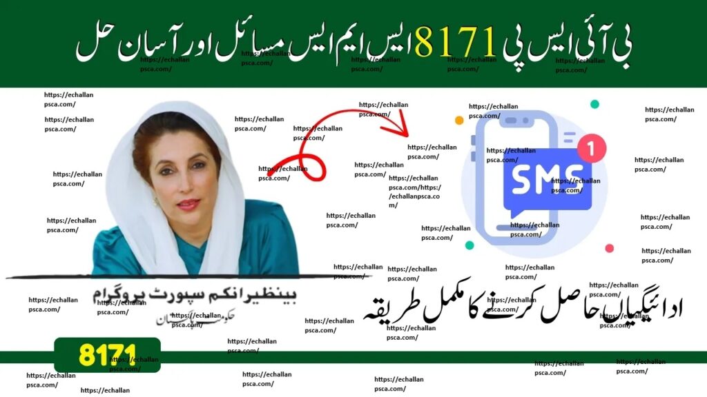 BISP SMS 8171 Issues and Solutions Complete Easy Guide