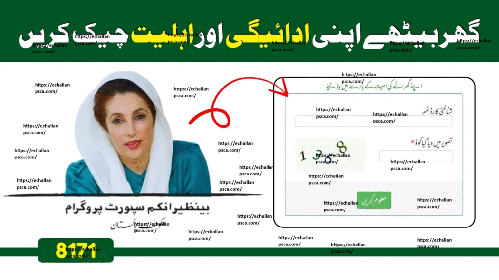 How To Check Payment Through 8171 Web Portal in 2025–2026